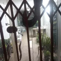 مغازه-تجاری-50متری-آب-برق-گاز-تلفن