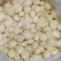 پخش عمده سیر همدان