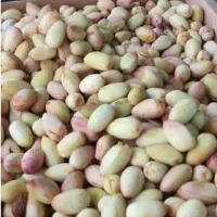 پسته خیس. با ارسال