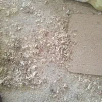 کارگر سنگ‌شکن لازم داریم فقط از شاهیندژ