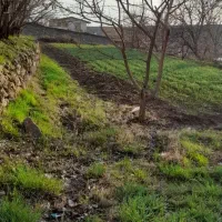 زمین،باغ|فروش زمین و ملک کلنگی|هشتگرد, خور|دیوار