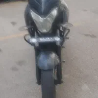 palss 200