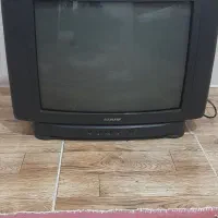 تلویزیون