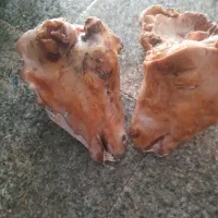 کله پاچه سیراب