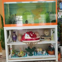 آکواریوم با ماهی ۸میل تکمیل