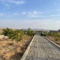 باغچه|فروش دفتر صنعتی، کشاورزی، تجاری|تنکمان, |دیوار