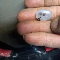 سنگ شجر خاص کاملا صبعی بدونه کاردست