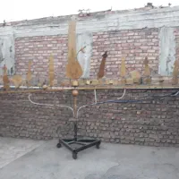 علم