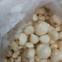 موسیر کوهی