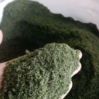 محصولات خانگی نسیم بانو