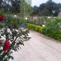 اجاره ویلا باغ در بندر انزلی