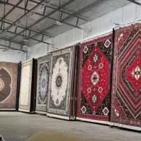فرش1200شانه/4500تراکم بالا زیر قیمت شرکت/کد2006
