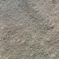 فروش جو محلی