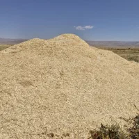 کاه|عمده‌فروشی|سیدآباد, |دیوار