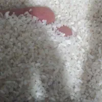 برنج نیم دانه طارم