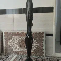 جاروی عصایی