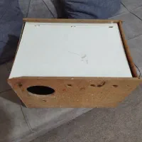 لانه عروس و طوتی