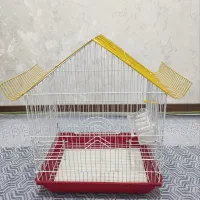 فروش قفس