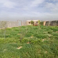 زمین-باغ-فروشی