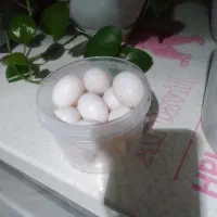 ۷ عدد تخم کفتر