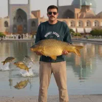 شروع توزیع امسال ماهی کپور گرید A جلبک خوار