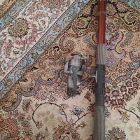 لنسر ماهیگیری