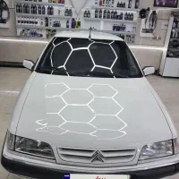 زانتیا سفید درحد