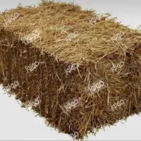 پرس گندم وپرس علف زعفران وجو