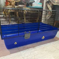 قفس خرگوش و خوکچه هندی