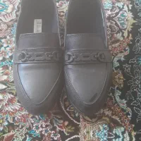 کالج سایز ۳۷
