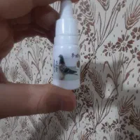 قطره کد۶ چشمی کبوتر