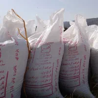جو محلی