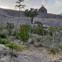 باغ وزمین روستای قز