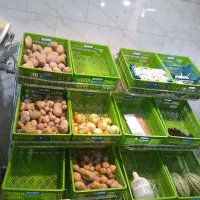 استند میوه و فروشگاه