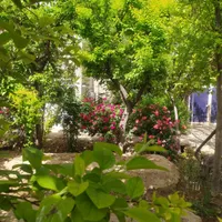باغ فروشی