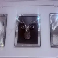 فروش تابلو سه تکه گوزن