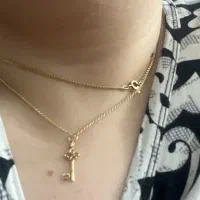 طلا گم کردم