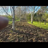 زمین-کشاورزی-کنار-رودخانه-زاینده-رود