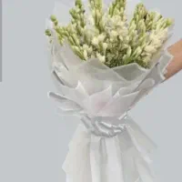 شرکت خدماتی نظافتی به تمیزی گل مریم