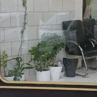 مغازه