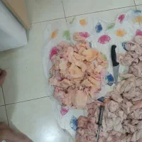دنبه تاز قیمت مناسب