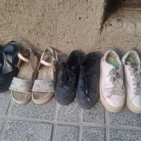 کفش اسپورت. صندل و مجلسی