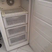 فریزر هتلی دوو
