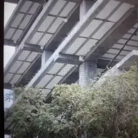 به چند تا کارگر آرماتوربند نیاز دارم