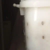 پرورش حلزون