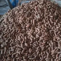 کارگر ساده