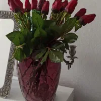 گل وگلدان خارجی