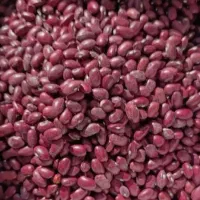 فروش لوبیا چیتی و قرمز تناژ بالا