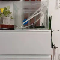 آکواریوم شرکتی شیشه خم