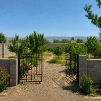 باغ کوی دنیز اردوشاهی